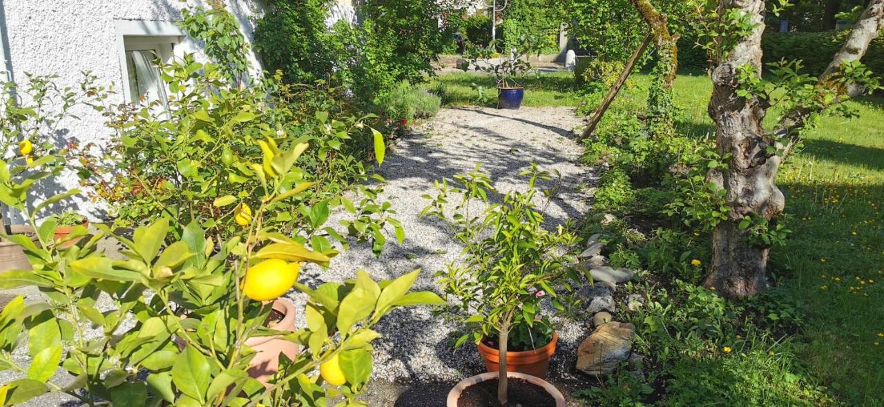 Villa Rosen - Ferienwohnungen Bad Reichenhall Εξωτερικό φωτογραφία