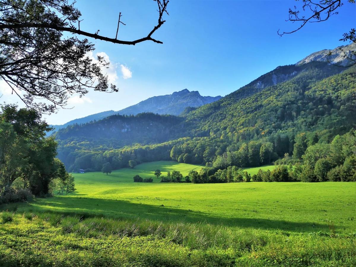 Villa Rosen - Ferienwohnungen Bad Reichenhall Εξωτερικό φωτογραφία